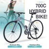 Shimano 7 Speed Hybrid Bike Aluminum Alloy Frame C-Brake 700C Road Bike For men women's City Bicycle